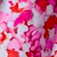 Girls Skater Skirt in Heart Sprinkles